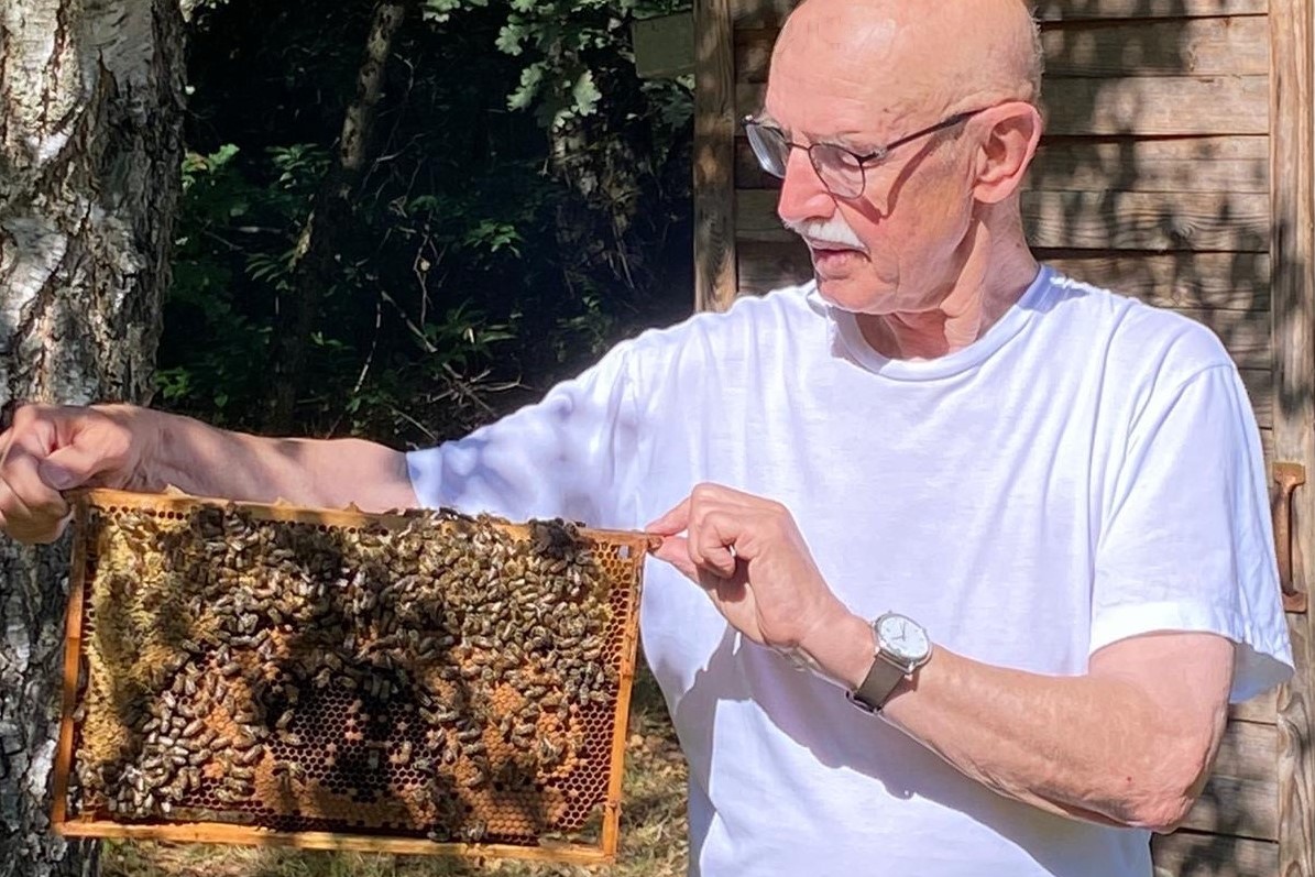 20210905 bienen und honig 02a