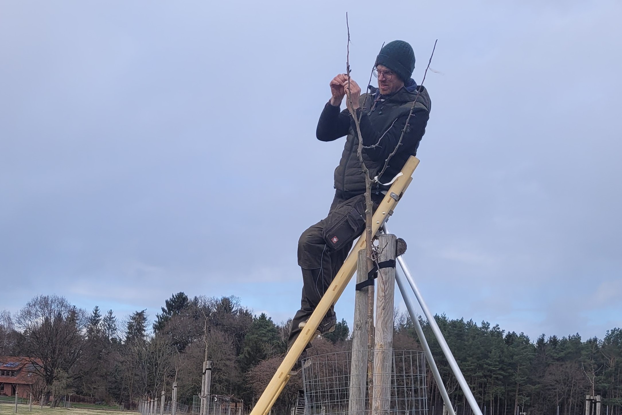 20230223 obstbaumschnitt 01